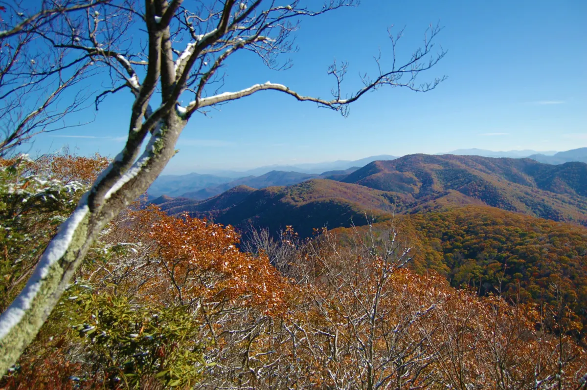 The view into Rocky Fork from Buzzard Rock in Lamar Alexander Rocky Fork State Park, Unicoi County, TN.