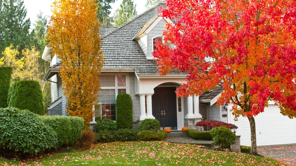 Architectural shingle replacement during the off-season.